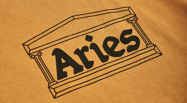 Meet the Brand: Aries Blog post