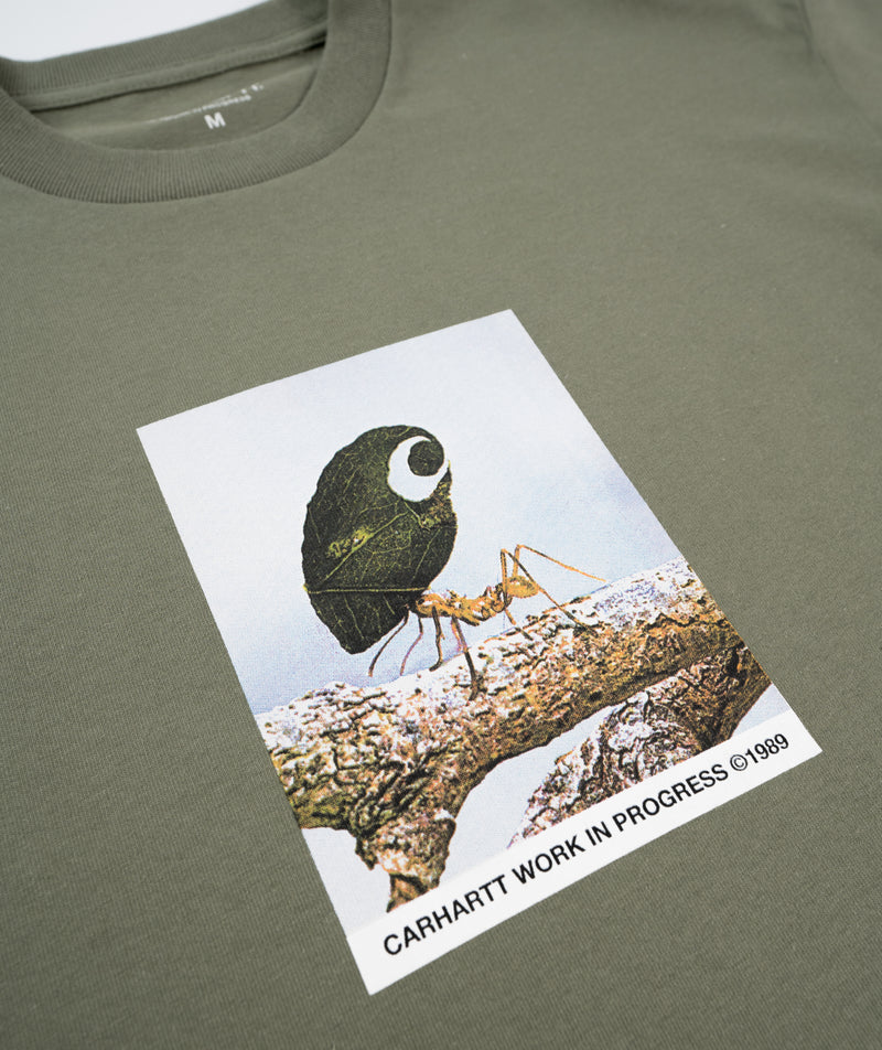 Carhartt WIP - Antleaf T-Shirt Dollar Green
