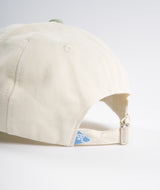 Reception 6 Panel Cap - White Bone/ Smoke Green